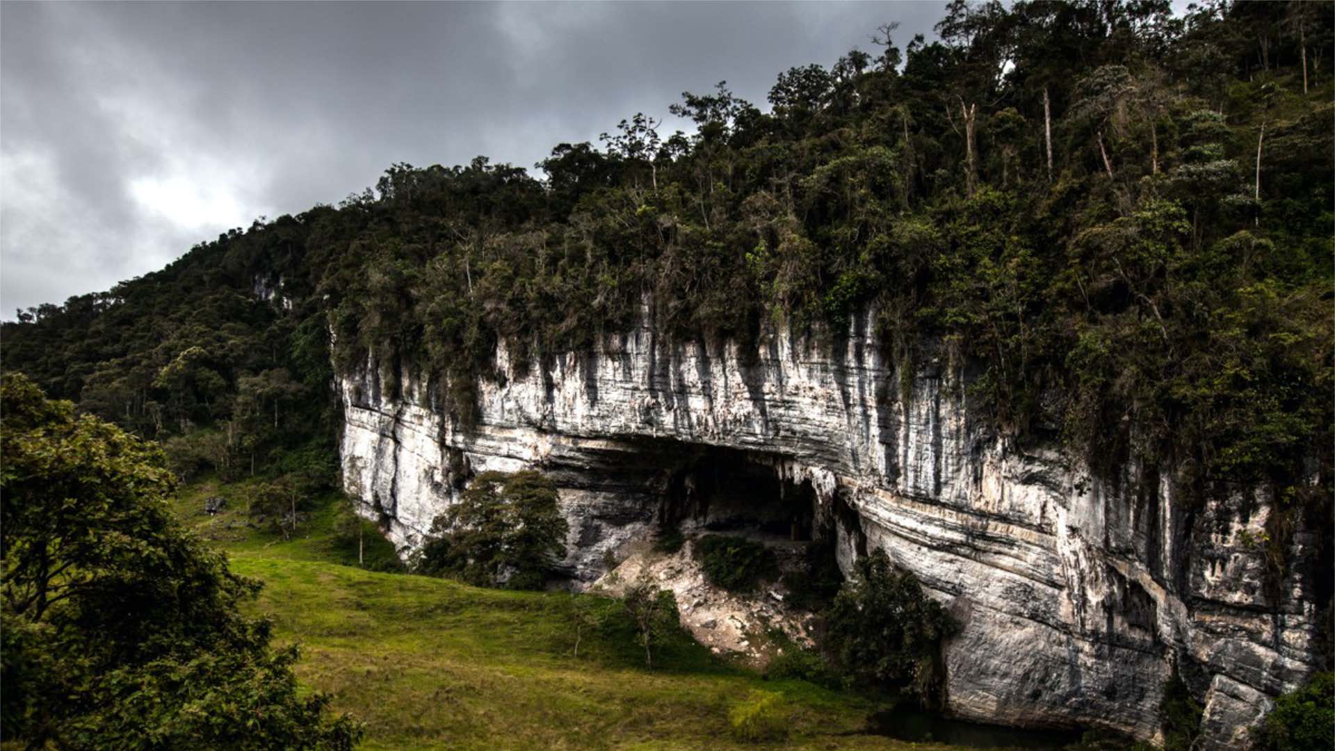 Bosque Cárstico – 1