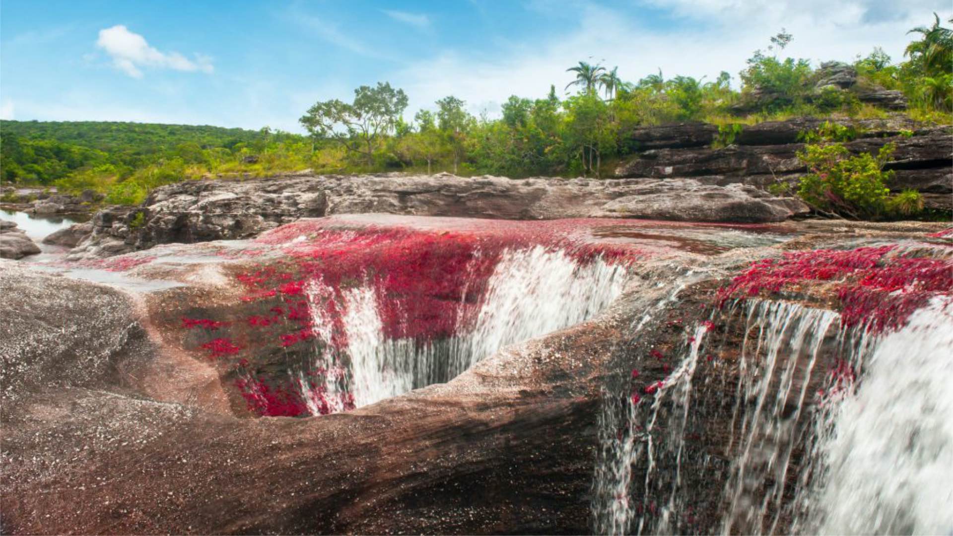 Caño Cristales 1