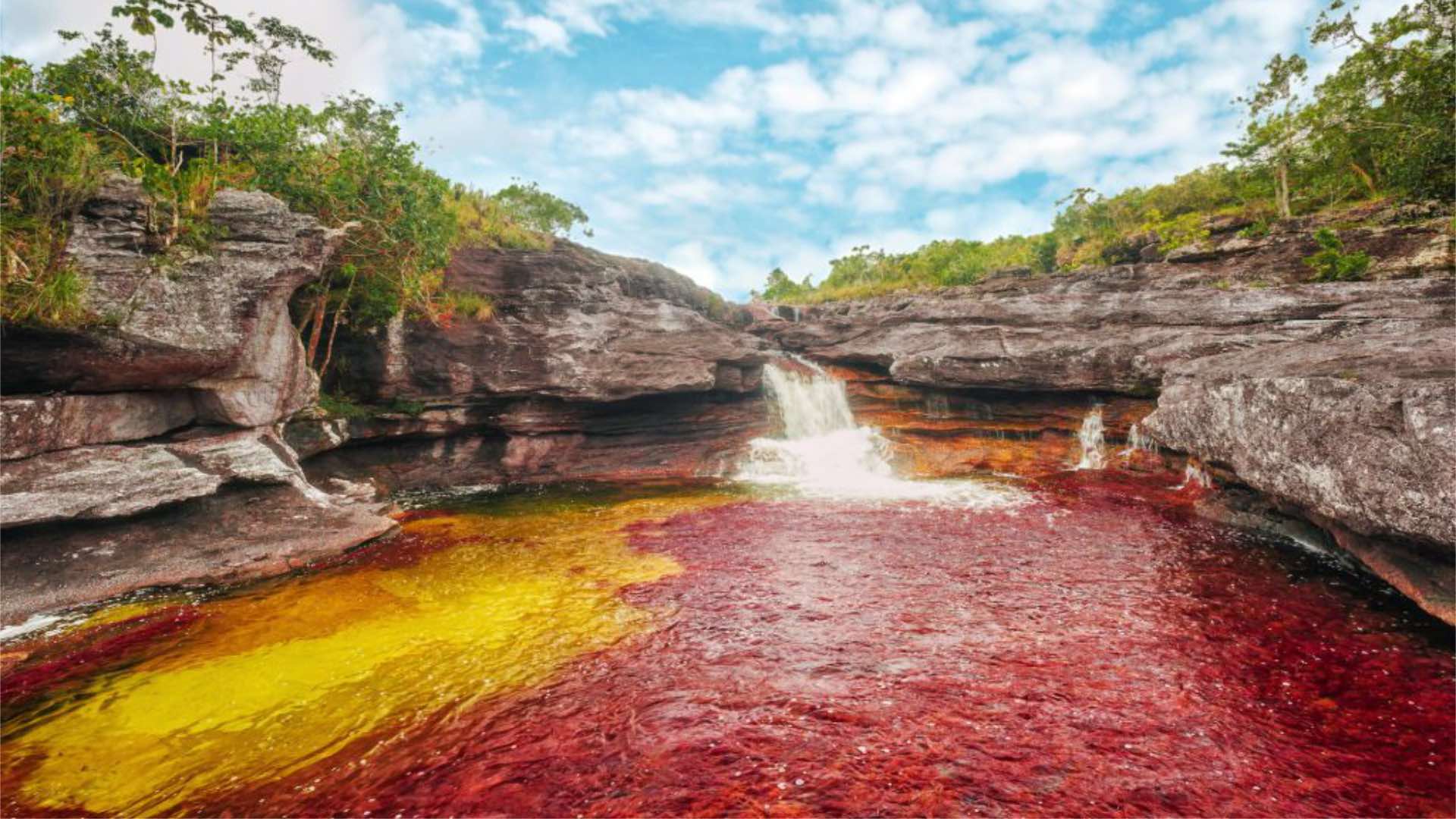 Caño Cristales 2