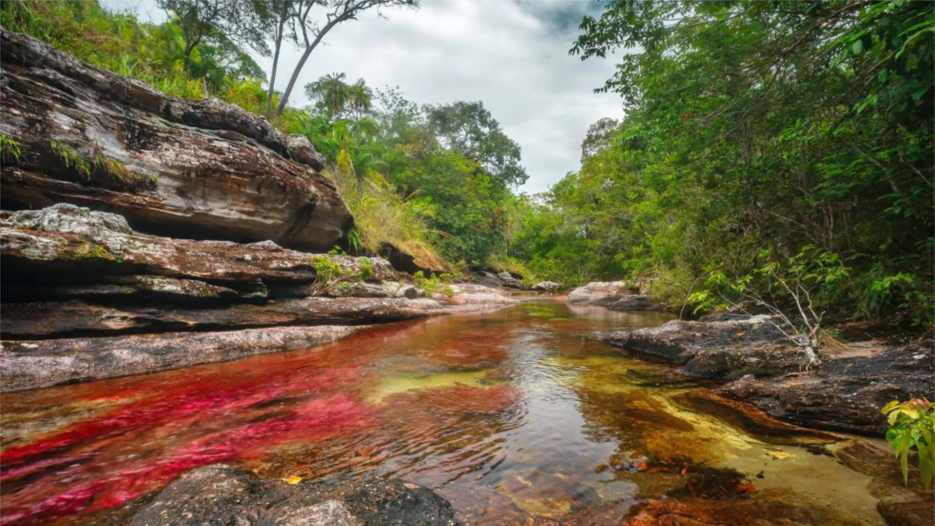 Caño Cristales 3