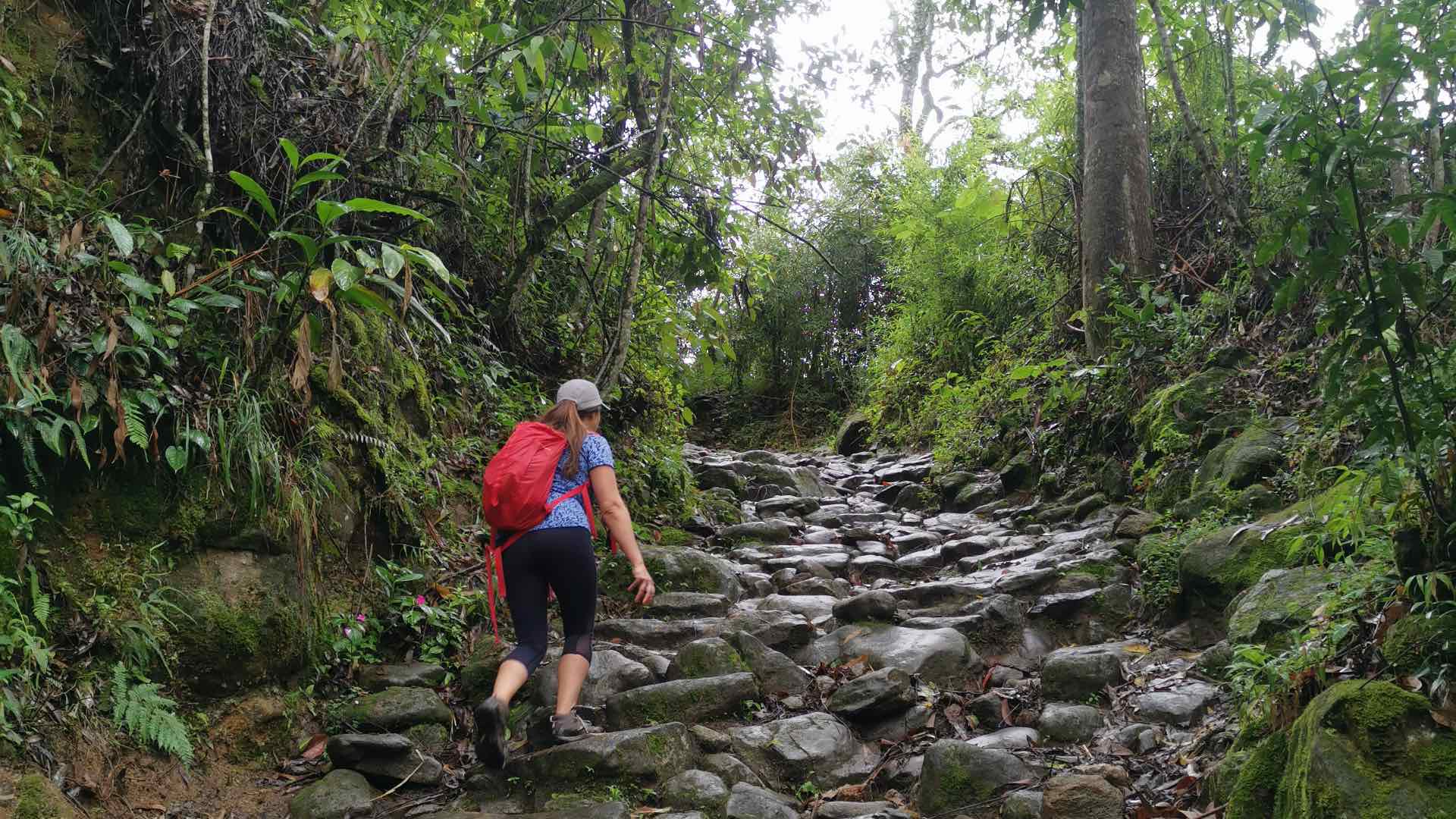 Circuito Cascada
