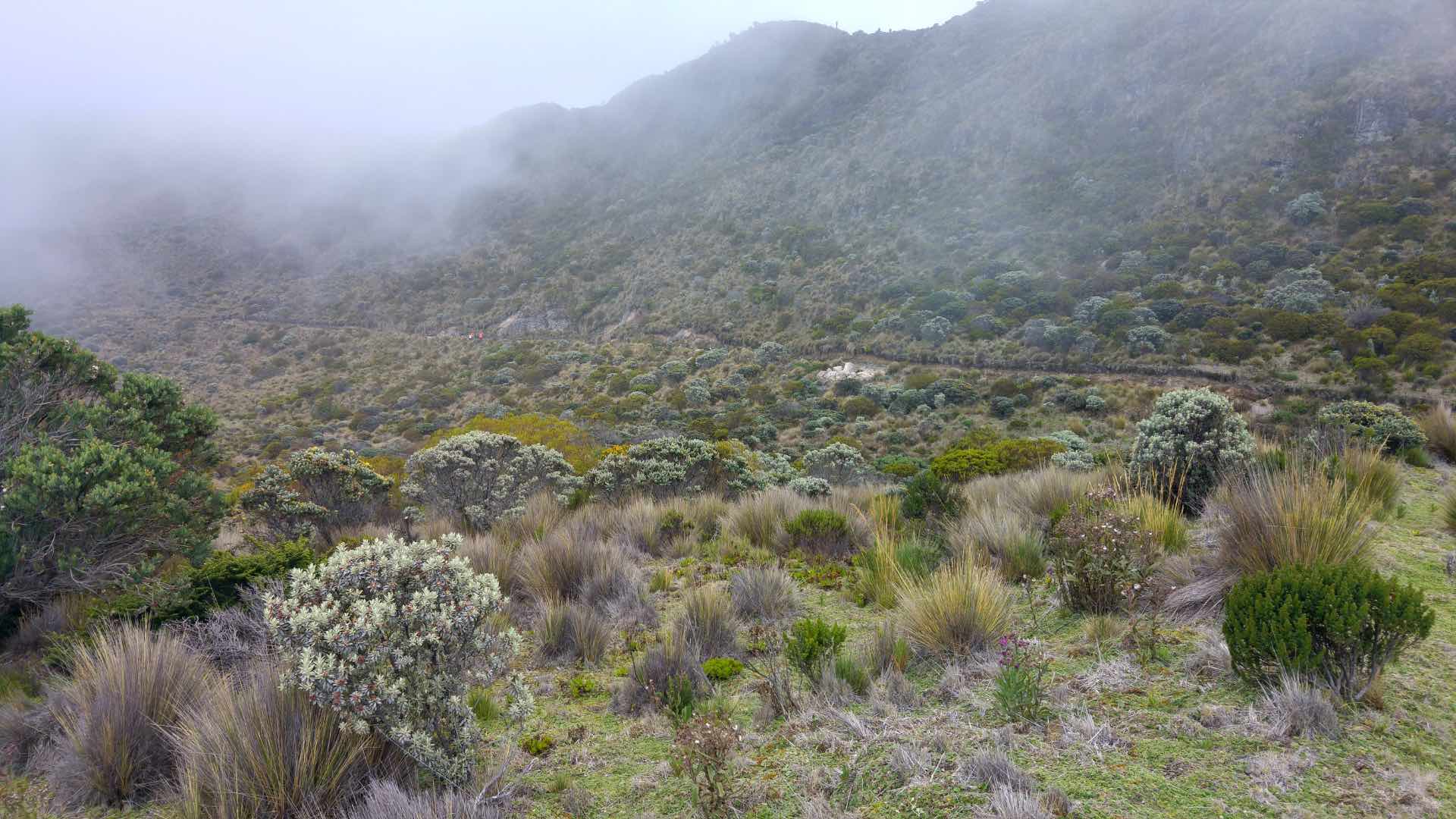Santa Isabel 3