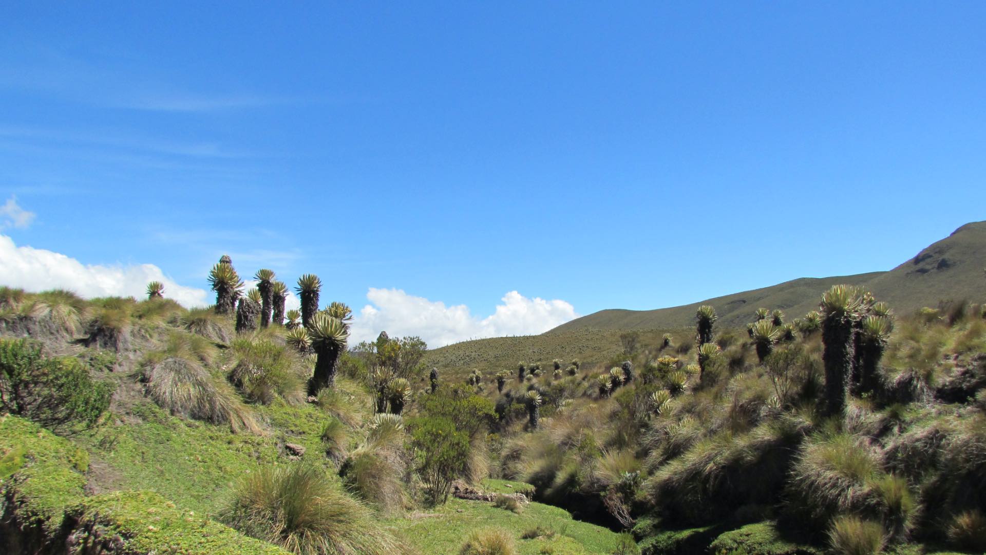 Termales El Cañón 3
