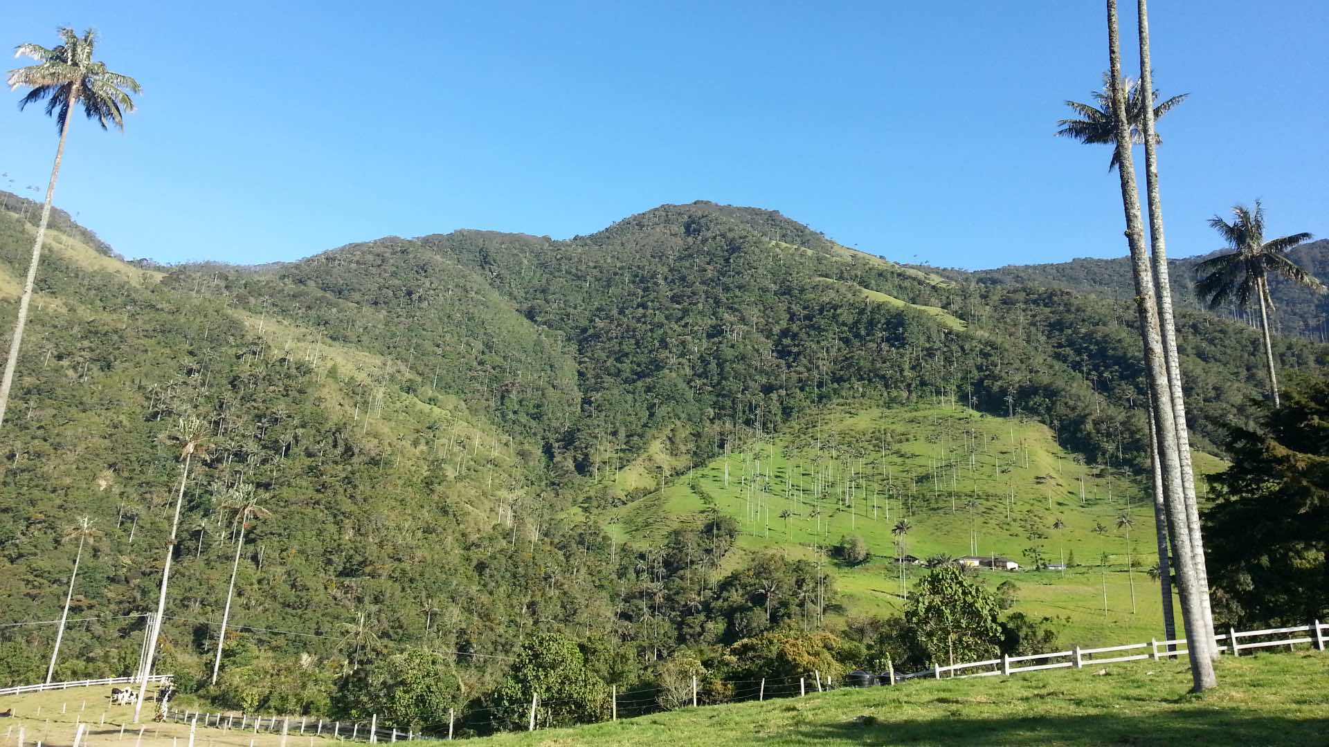 Termales El Cañón