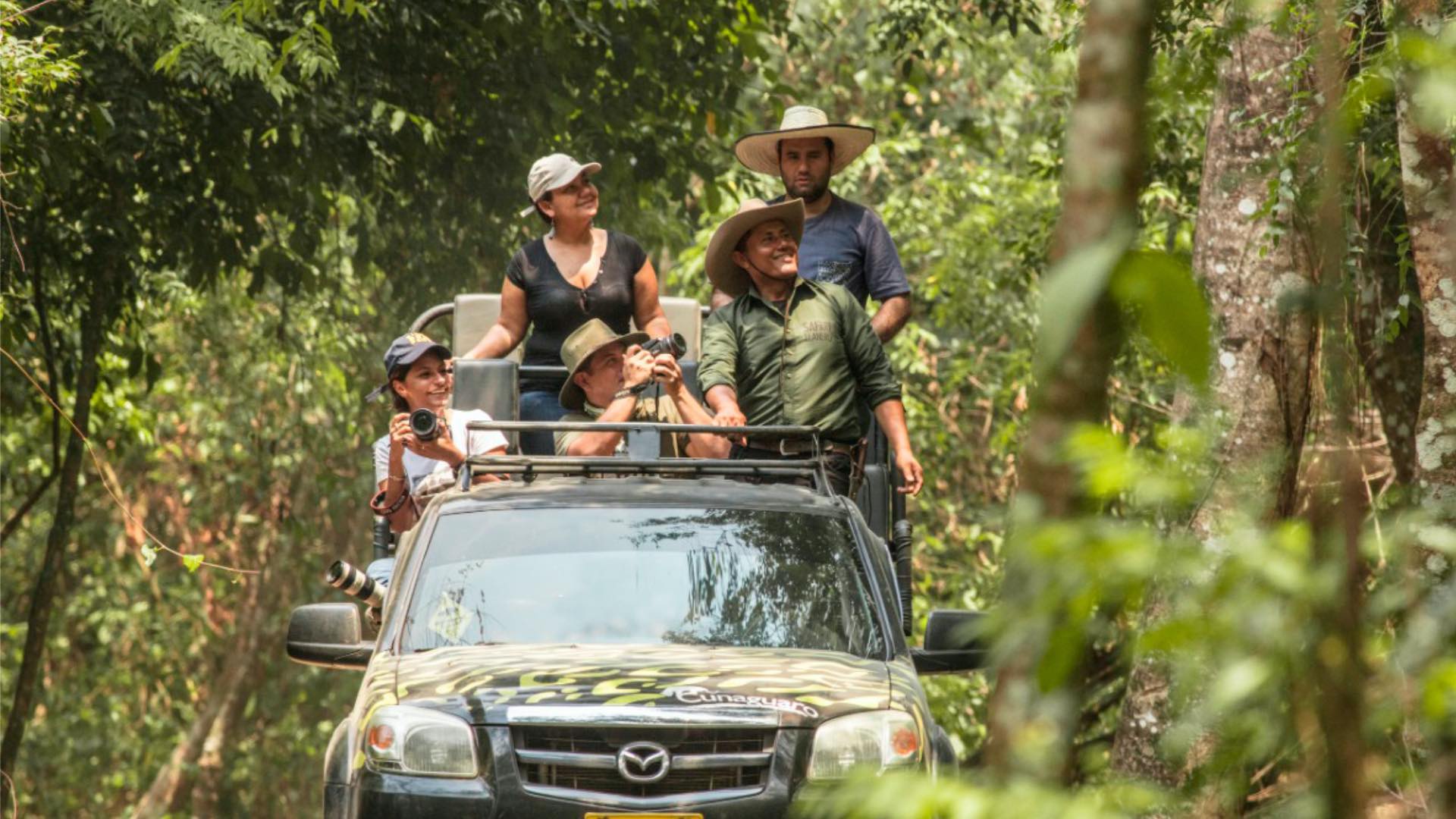 Safari-Llanero-1