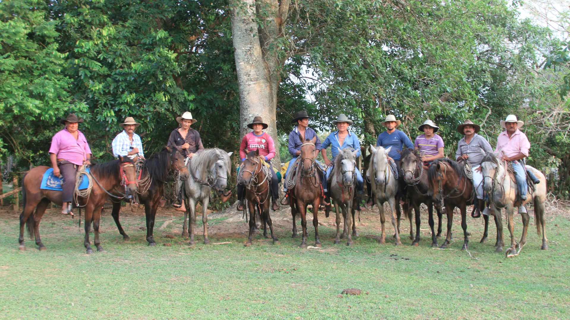 Safari-Llanero-5
