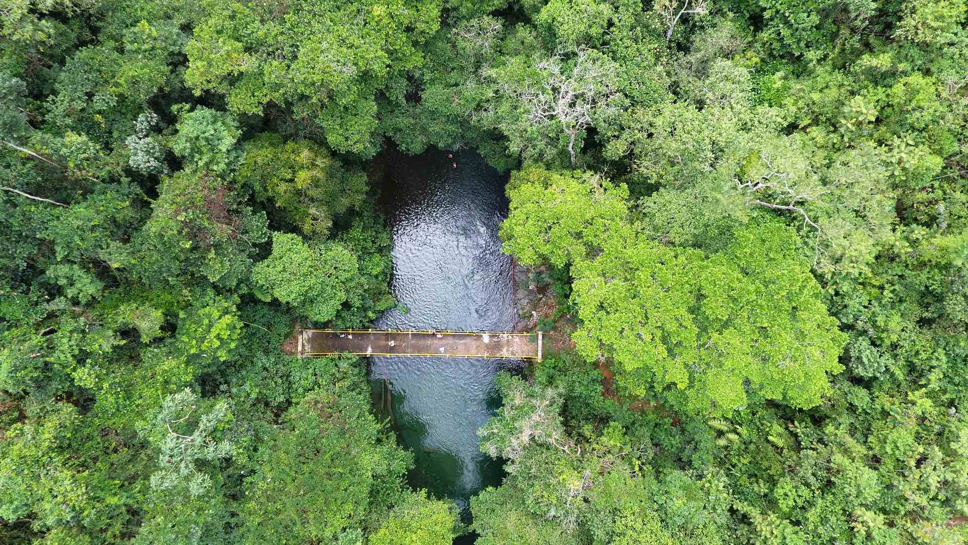 trekking-into-the-jungles-of-east-antioquia-go-explore-colombia